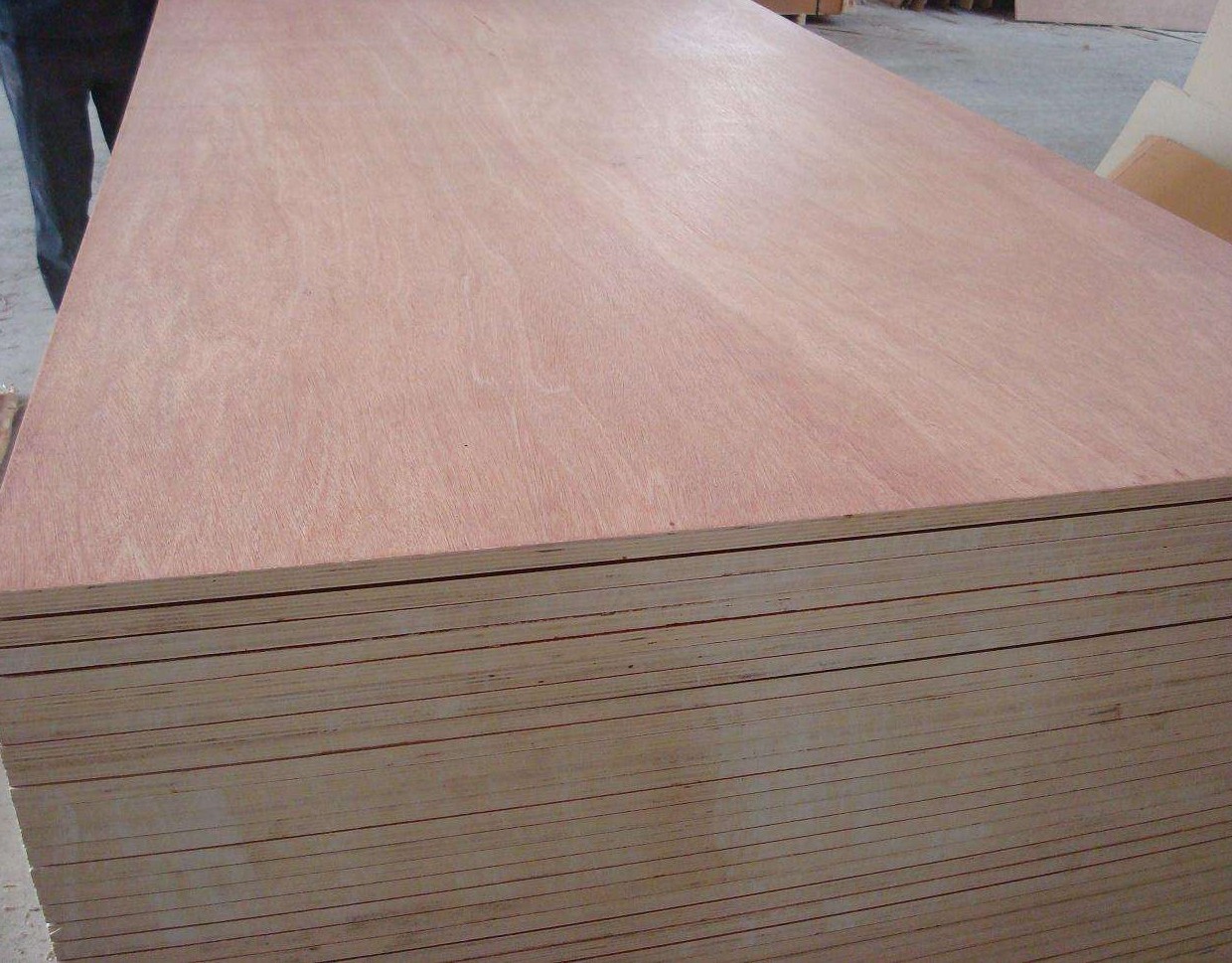 commercial plywood 18mm Bintangor poplar Plywood